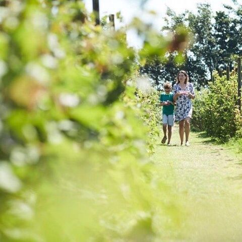 Illustratie bij: De allerbeste plek om met je kinderen heen te gaan op Texel