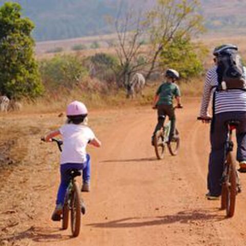 Illustratie bij: Naar Zuid-Afrika met kinderen? Doen!