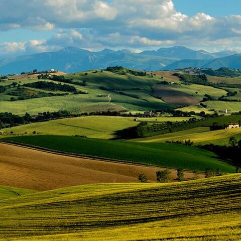 Illustratie bij: Weg van de massa in Italië! Deze kleinschalige agriturismo heeft alles wat je wenst!