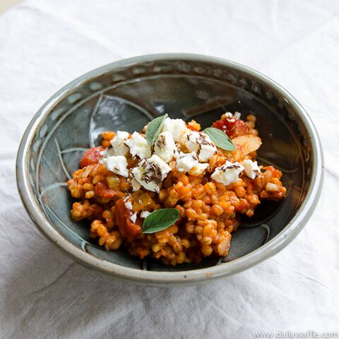 Illustratie bij: Ottolenghi voor kinderen: tomatensaus, maar dan héérlijk!