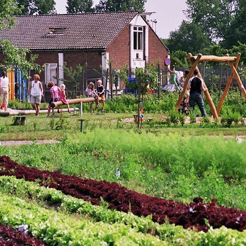 Illustratie bij: De buitenlucht in: dagje naar Moestuin Maarschalkerweerd