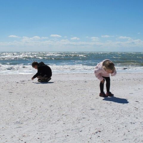 Illustratie bij: Ga strandjutten in Egmond aan Zee!