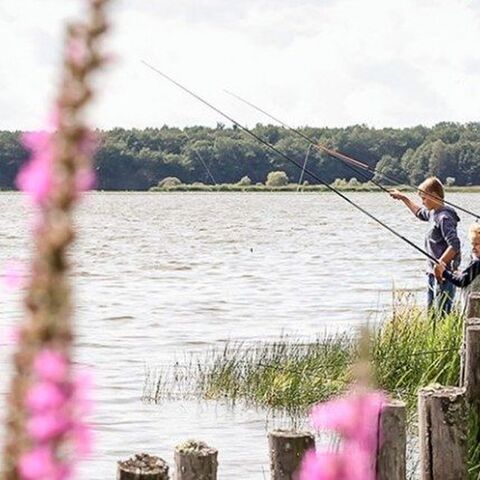 Illustratie bij: Lekker hutten bouwen & visje vangen in de natuur met je peuter?