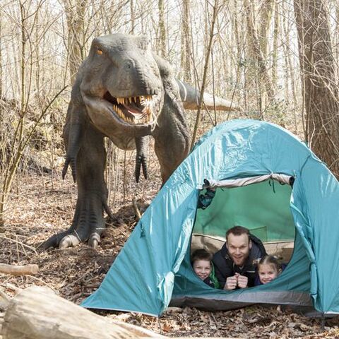 Illustratie bij: Woest uitje voor stoere vaders: de vadernacht in Dinopark Amersfoort!