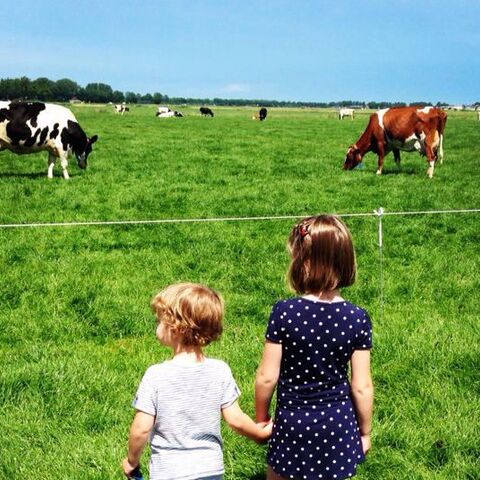 Illustratie bij: Een superleuk lente-uitje: de Open Boerderijdagen!