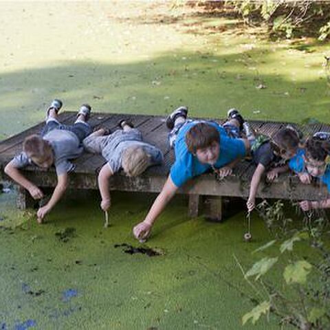 Illustratie bij: Kruip, glibber en speur mee tijdens de slootjessafari in het Vondelpark!