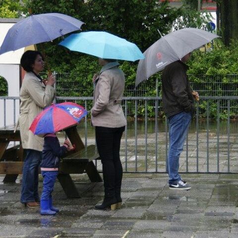 Illustratie bij: De slangenkuil die schoolplein heet