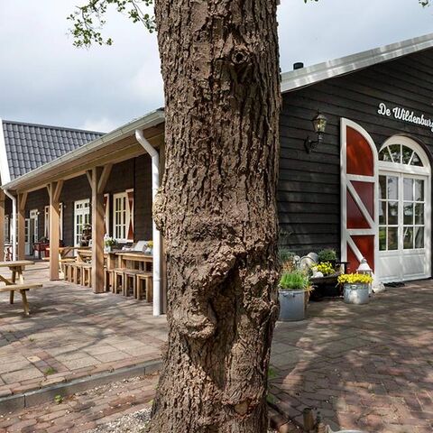 Illustratie bij: Lekker pannenkoeken eten bij deze leuke boerderij in Baarn