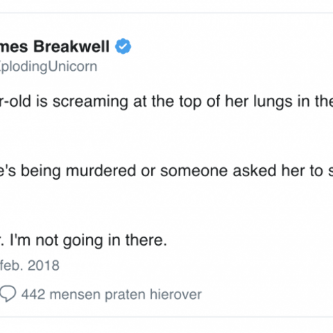 Illustratie bij: Hahaha! Deze tweets bewijzen: het vaderschap is geen sinecure