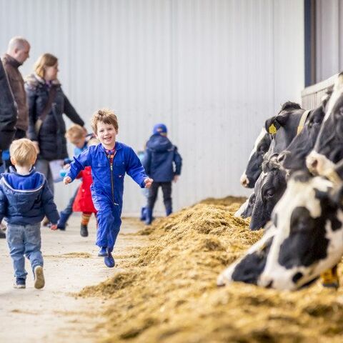 Illustratie bij: Leuk voor Tweede Paasdag: ga langs bij de boer tijdens de AH Buitendag