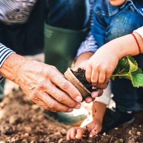 Illustratie bij: Andere kinderen hebben wél leuke vaders, die wél van moestuintjes houden