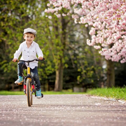 Illustratie bij: Leuk uitje: met de kinderen naar de bloesems in Haspengouw