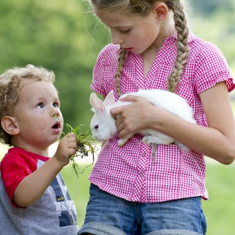 Illustratie bij: Als je kind gek is op dieren, dan is deze vakantie echt iets voor jullie