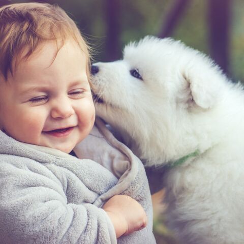 Illustratie bij: Vreselijk grappige stripjes over het leven van een baby en een hond