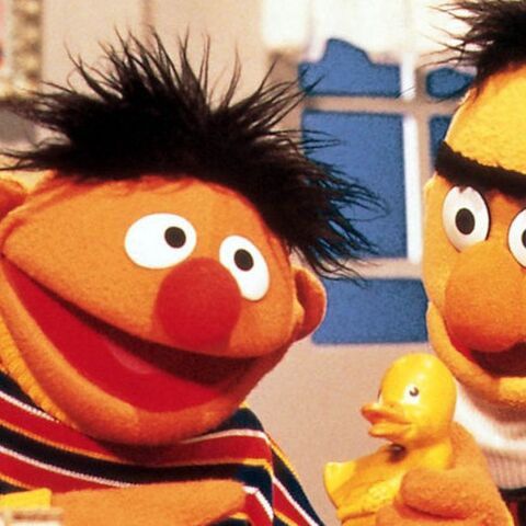 Illustratie bij: We wisten het! Bert en Ernie zijn een stelletje