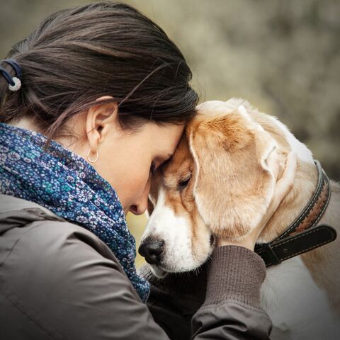 Illustratie bij: ‘Ik moest kiezen tussen mijn kind en mijn hond’