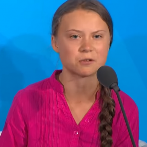 Illustratie bij: Ouders, neem Greta Thunberg in bescherming – want dit is kindermishandeling