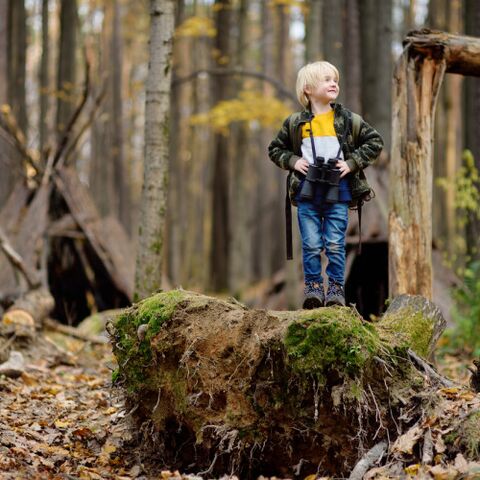 Illustratie bij: Toen Vala met 10 kinderen op survival ging en het bijna niet overleefde