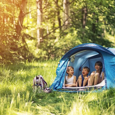 Illustratie bij: Waarom Vala voortaan iedere zomer gaat kamperen