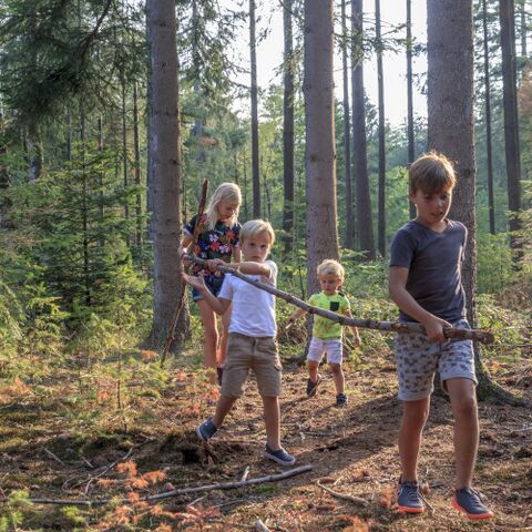 Illustratie bij: Natuur, prachtige parken en knusse huisjes: dit is de perfecte vakantiespot met kinderen