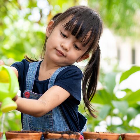 Illustratie bij: Groene vingers: Hoe je met kinderen planten kunt verzorgen