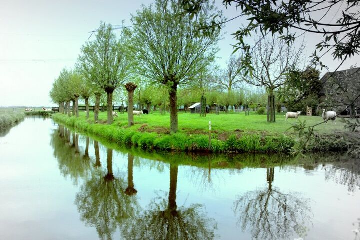 kinderboerderij geertje