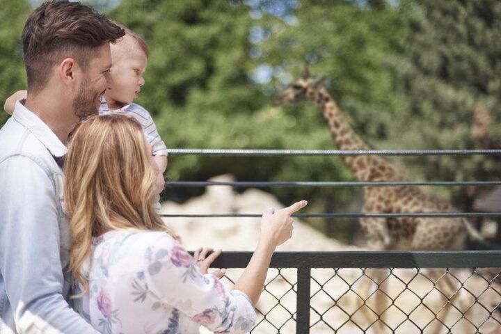 Marcel heeft een hekel aan dieren, maar ging toch naar Artis