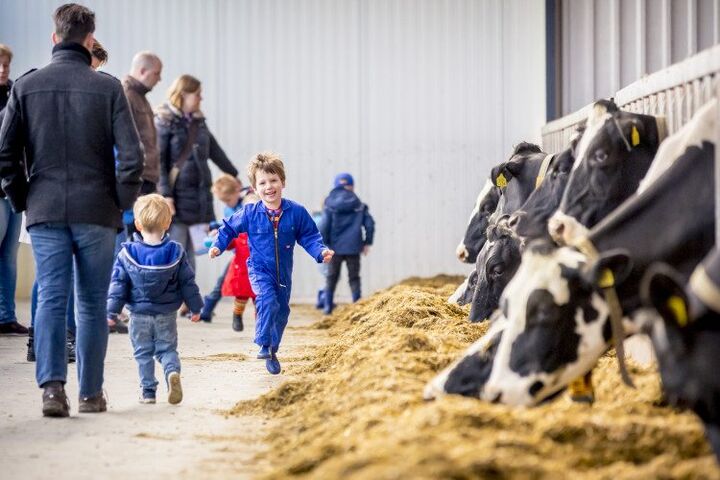 Leuk voor Tweede Paasdag: ga langs bij de boer tijdens de AH Buitendag