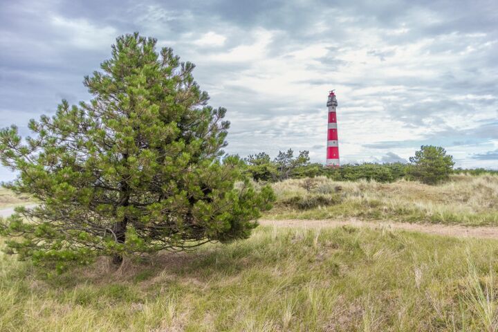 Fantastisch voor de meivakantie: uitwaaien op Ameland