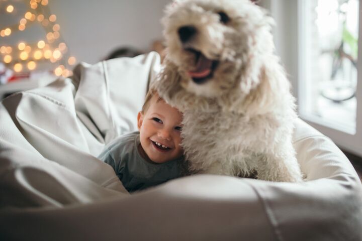 Waarom mijn hond eigenlijk een betere moeder is dan ik