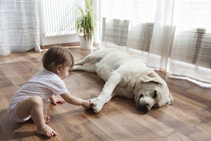 Waarom ik blij ben dat mijn baby met een hond opgroeit