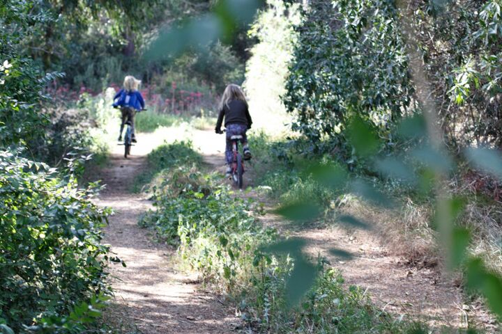 kinderfiets maat