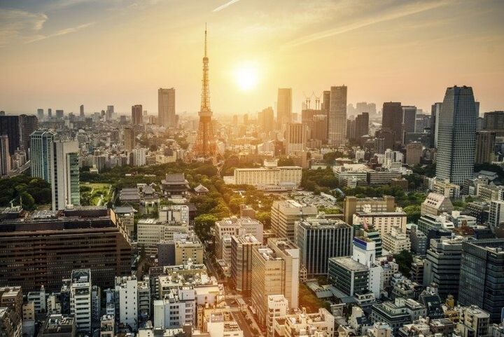 Een keer een totaal andere vakantie? Op naar Tokyo!