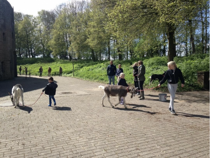 Knuffelen en wandelen met geitjes bij de Bokkenbunker